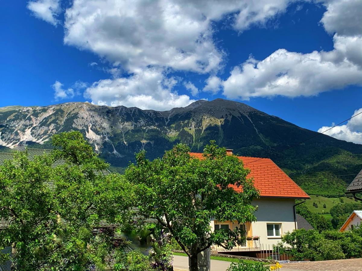 Lusht'N Apartma Zirovnica Kültér fotó