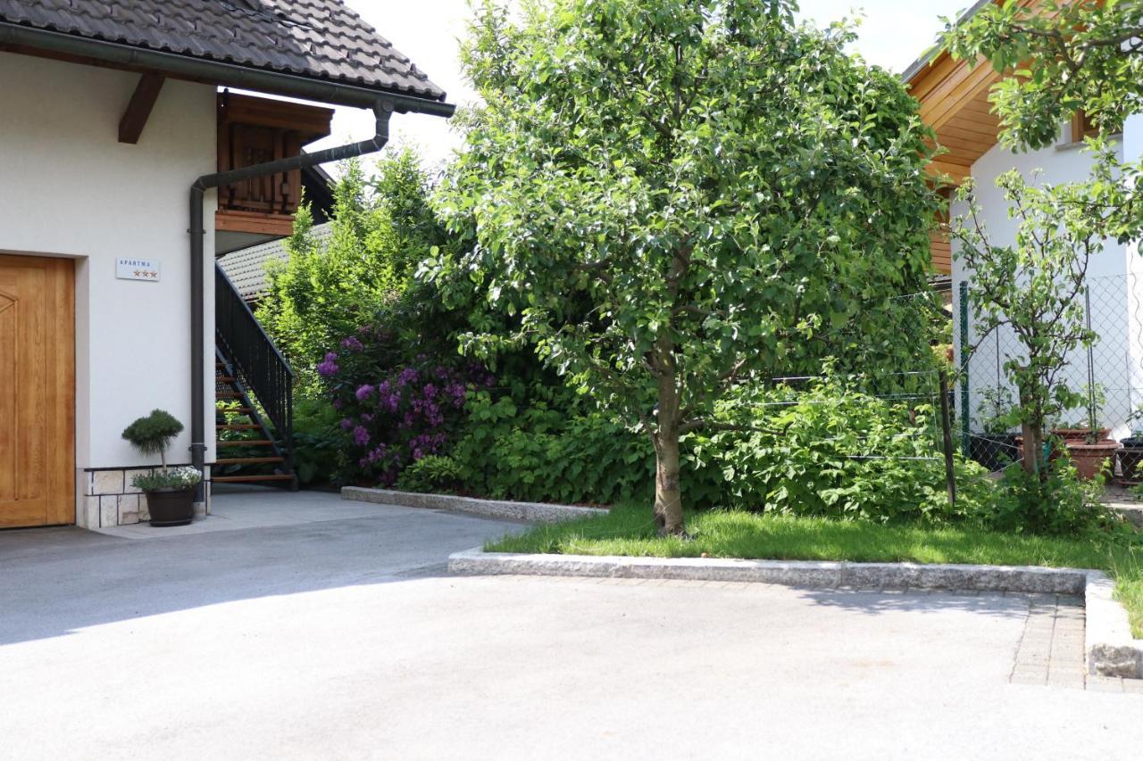 Lusht'N Apartma Zirovnica Kültér fotó